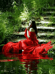 pic for lost garden